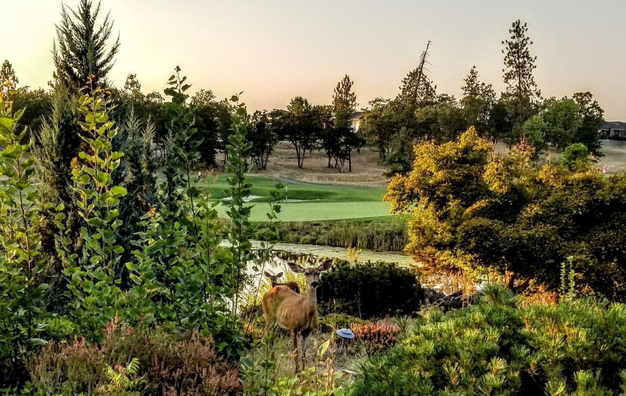Resort At Eagle Point Golf Club Lodging Exterior foto